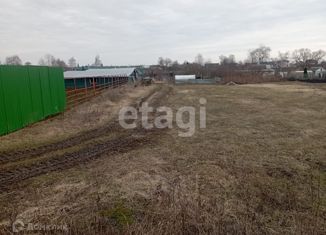 Продажа участка, 28 сот., деревня Избищи, Колхозная улица, 12