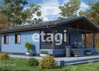 Продам дом, 120 м2, деревня Порицы, деревня Порицы, 55