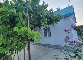 Дом на продажу, 53.9 м2, СНТ Механизатор, Центральная улица