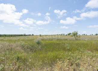 Продаю участок, 75 сот., Песчановское сельское поселение