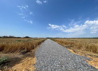 Продается участок, 5 сот., посёлок Рассвет, посёлок Рассвет, 1/1