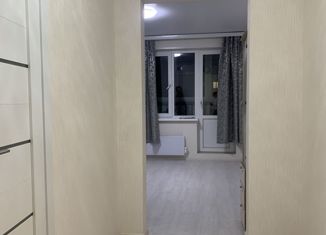 Продаю 1-комнатную квартиру, 25 м2, Нижний Новгород, ЖК Корабли