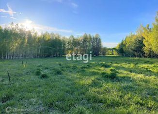 Продажа земельного участка, 23.7 сот., деревня Панфилово