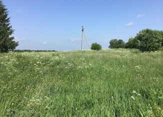 Продаю земельный участок, 44.39 сот., деревня Шильмяшево