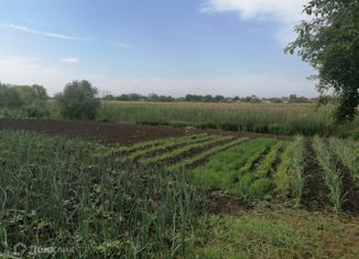 Продажа земельного участка, 16.5 сот., станица Старовеличковская, Красная улица