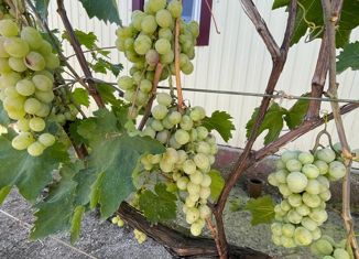 Продам дом, 50 м2, садоводческий кооператив Мирный Атом