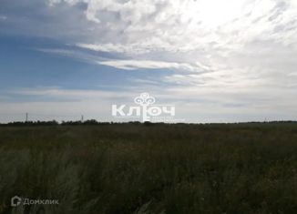 Продаю участок, 26 сот., село Помряскино, Центральная улица