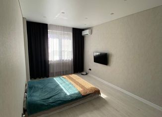 1-комнатная квартира на продажу, 40 м2, Краснодар, улица Евгении Жигуленко, 11/2, ЖК Инсити