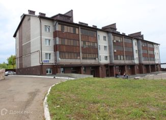 Продается 1-комнатная квартира, 35 м2, село Пестрецы, улица Титова, 27А