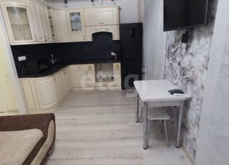 Сдаю в аренду квартиру студию, 24 м2, Новосибирск, Красный проспект, 323/8, ЖК Онега