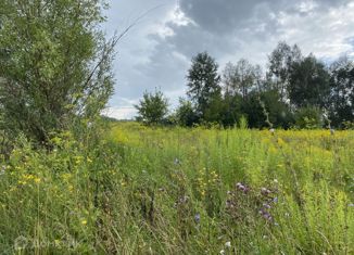 Продается участок, 52.14 сот., село Арапово, Центральная улица