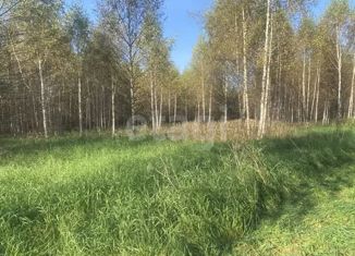 Продажа участка, 10 сот., деревня Турабьево