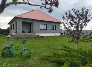 Продается дом, 102 м2, село Новая Нелидовка, Зелёная улица, 111