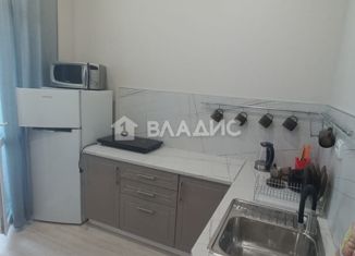 Сдается в аренду 1-ком. квартира, 32.1 м2, Ленинградская область, улица Шувалова, 33/35