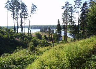 Участок на продажу, 10 сот., деревня Сельцо, деревня Сельцо, 61