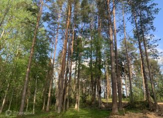 Продаю участок, 6 сот., дачное некоммерческое партнерство Лисички