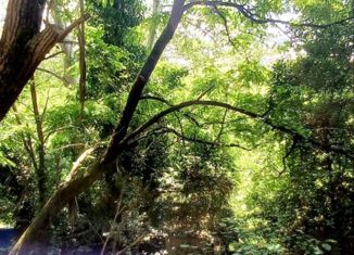 Продажа дома, 45 м2, Сочи, Альпийская улица, 104А