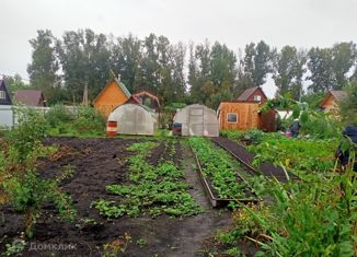 Дом на продажу, 10 м2, поселок Металлургов, садовое некоммерческое товарищество Цветущий Сад, 37