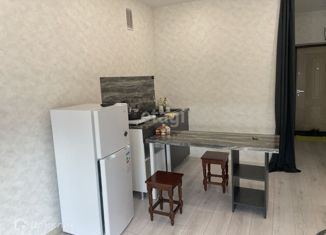 Квартира в аренду студия, 33.3 м2, Тюмень, Комбинатская улица, 54к2