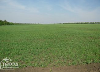 Продажа земельного участка, 600 сот., село Штормовое