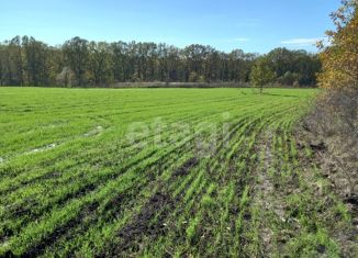 Продам участок, 590 сот., село Верхний Ольшанец