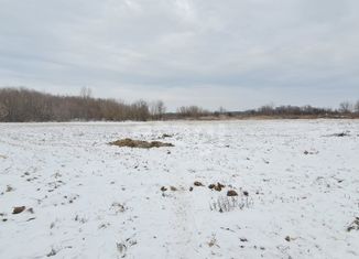 Земельный участок на продажу, 197 сот., село Октябрьское, проспект Революции