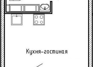 Продажа квартиры студии, 23.01 м2, Санкт-Петербург, Студенческая улица, 14к2, Студенческая улица