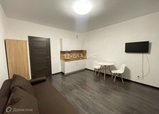 Продажа квартиры студии, 25.3 м2, Санкт-Петербург, Верхне-Каменская улица, метро Комендантский проспект