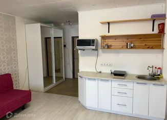 Квартира на продажу студия, 24.6 м2, Нижний Тагил, улица Булата Окуджавы, 5