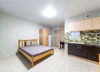 Квартира на продажу студия, 28.8 м2, Санкт-Петербург, бульвар Головнина, 10, бульвар Головнина