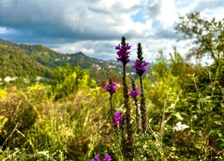 Земельный участок на продажу, 6 сот., село Барановка (Хостинский район)