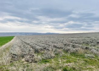 Продам земельный участок, 590 сот., село Тургеневка