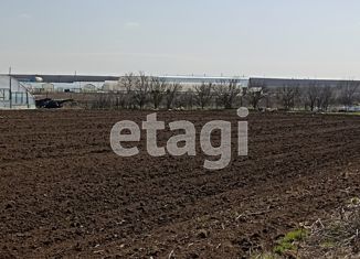 Продаю земельный участок, 52 сот., село Червоное, Новосёловская улица