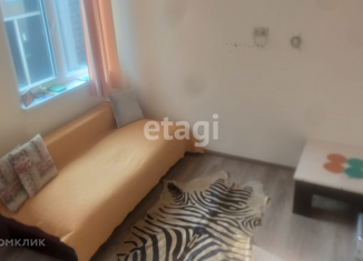 Квартира на продажу студия, 22.8 м2, село Ордынка, садоводческое некоммерческое товарищество Прохлада, 19