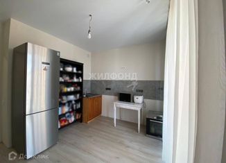 Продажа 2-комнатной квартиры, 48 м2, Новосибирская область, улица Василия Клевцова, 1