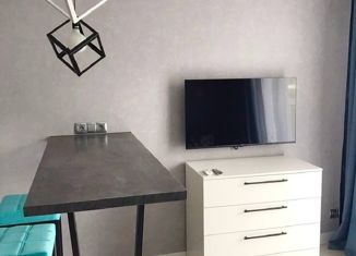 Продается квартира студия, 24 м2, Сочи, улица Искры, 88, ЖК Летний