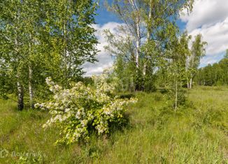 Участок на продажу, 12 сот., село Новая Сидоровка