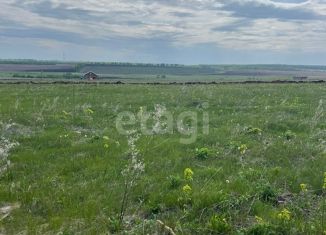 Продаю земельный участок, 15 сот., село Буриказганово