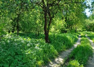 Продаю земельный участок, 7 сот., деревня Косарево