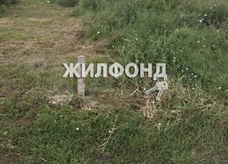 Продам земельный участок, 10 сот., село Денисовка