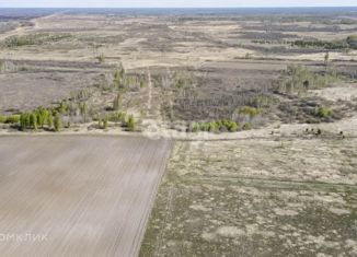 Продаю участок, 37.4 сот., село Борки