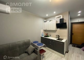 Сдам в аренду квартиру студию, 22 м2, село Засечное, Светлая улица, 15