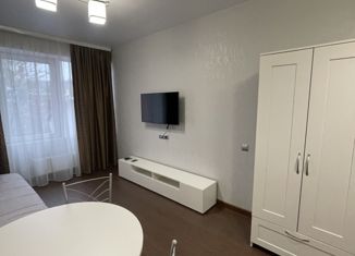 Квартира в аренду студия, 25 м2, Симферополь, улица Беспалова, 110Е