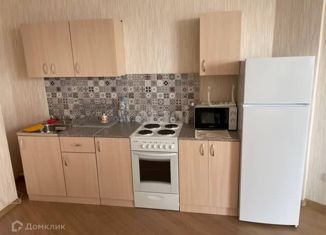 Сдаю в аренду двухкомнатную квартиру, 67.7 м2, Челябинск, улица Курчатова, 11