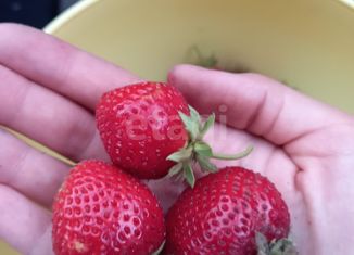 Продается земельный участок, 9.7 сот., село Кетово, улица Космонавтов