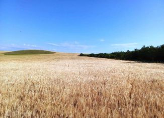 Продажа земельного участка, 1080 сот., Вилинское сельское поселение