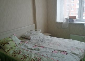 Сдается в аренду 1-ком. квартира, 50.4 м2, Колпино, Загородная улица, 43к3