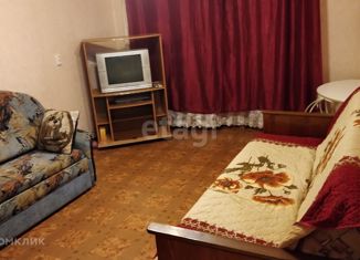 Продается 1-комнатная квартира, 31.8 м2, Нижний Новгород, улица Премудрова, 18, улица Премудрова