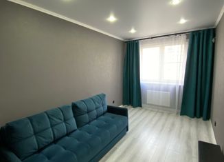 Продам 1-ком. квартиру, 38 м2, Краснодар, улица Адмирала Серебрякова, 3к3, ЖК Дружный