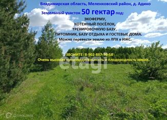 Продаю земельный участок, 5000 сот., деревня Адино, Центральная улица, 66
